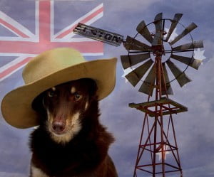 Mission Employment Australia Day celebration