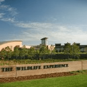 University of Colorado